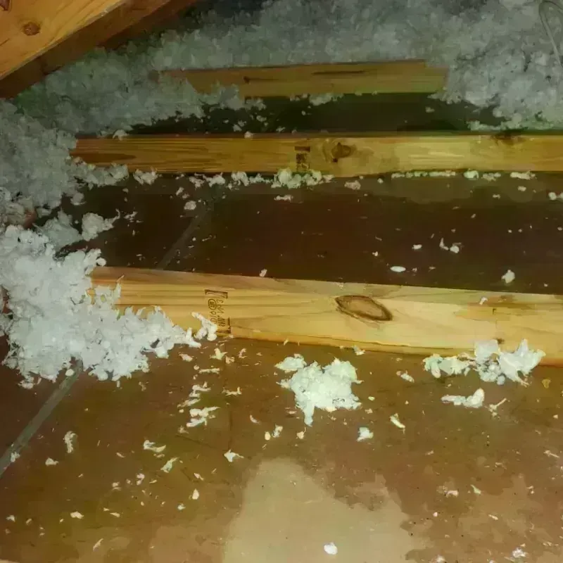 Attic Water Damage in Independence, MO