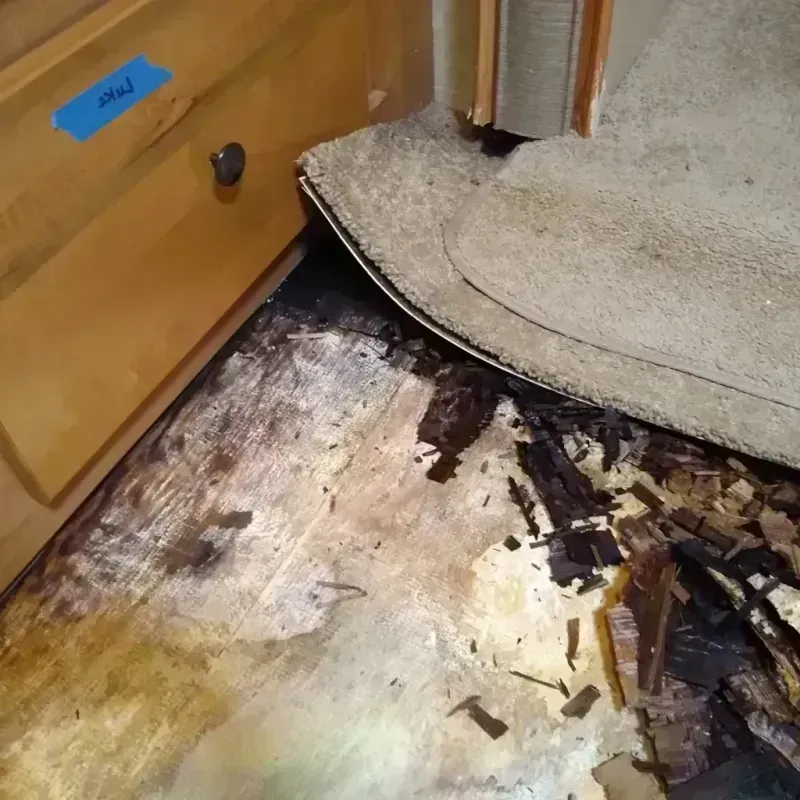 Wood Floor Water Damage in Independence, MO